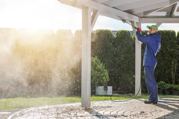 Best Paint Preparation  in Lawton, IA