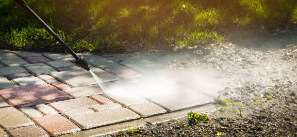 Best Driveway Pressure Washing  in Lawton, IA